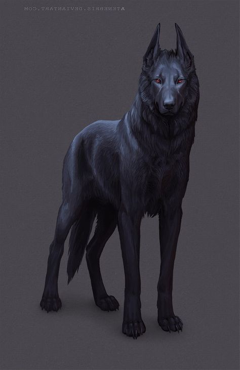 stranger Wounded Wolf Art, Art Observation, Lup Singuratic, Werewolf Drawing, Canine Drawing, Fantasy Wolf, Canine Art, Anime Wolf, Mythical Creatures Art