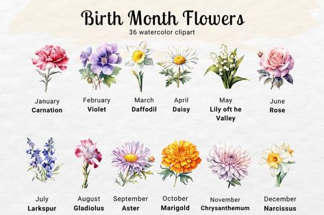 Free download with code: DIGI1S https://digi1s.com/downloads/birth-flower-watercolor-clipart/ Birth Flower Watercolor, Watercolor Studio, Cherry Blossom Background, Pixel Image, Flower Watercolor, Art Deco Patterns, Month Flowers, Birth Month Flowers, Flower Clipart