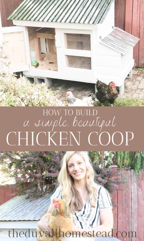 Diy Small Chicken Coop Ideas, Small Chicken Coop Diy, Simple Chicken Coop Diy, Small Chicken Coop Ideas, Beautiful Chicken Coop, Simple Chicken Coop Plans, Small Chicken Coop, Cute Backyard, Farm Dream