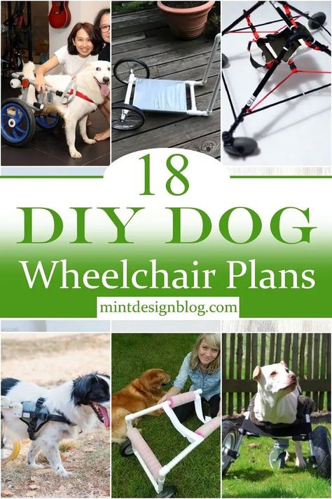 18 DIY Dog Wheelchair Plans Diy Dog Wheelchair, Paralyzed Dog, Dog Chair, Dog Wheelchair, Dog Kennel Furniture, Diy Dog Toys, Disabled Dog, Diy Dog Bed, Dog Stroller