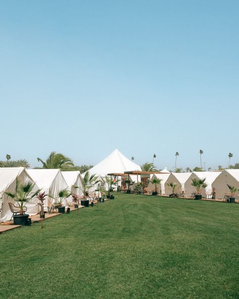 Coachella 2024 | Safari Campgrounds | Valley Music Travel Coachella Camping, Coachella 2024, Beer Case, Travel Team, Safari Tent, Travel Music, Airport Transportation, Best Kept Secret, Camping Tent