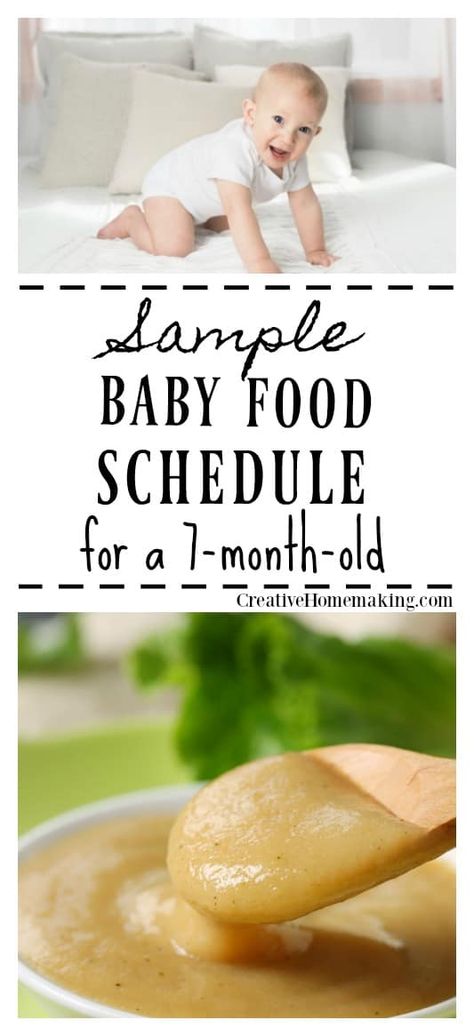 Feeding tips and a daily menu plan for your 7 month old baby. 7 Month Old Food, 7 Month Old Baby Food, Food Schedule, 7 Months Baby Food, Baby Meal Plan, Baby Food Schedule, 7 Month Baby, Baby Dinner, 7 Month Old Baby