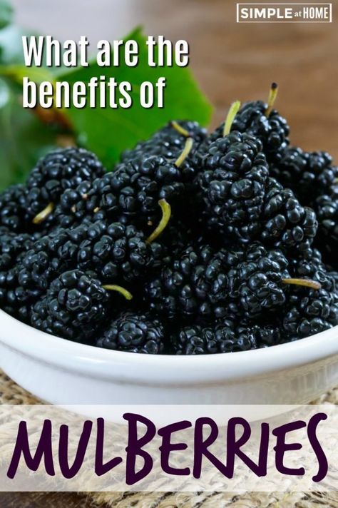 Mulberry Benefits, Mulberry Recipes, Calendula Benefits, Fruit Health Benefits, Healthy Eyes, Essential Vitamins, Healthy Bones, Heart Healthy, Nutrition Facts