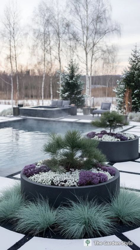 Creating Stunning Winter Planters: Thriller, Filler, Spiller Approach - The Garden Style Winter Potted Plants, Pool Planters, Winter Landscaping, Small Landscaping, Winter Pansies, Tall Ornamental Grasses, Red Twig Dogwood, Winter Planters, Twig Dogwood