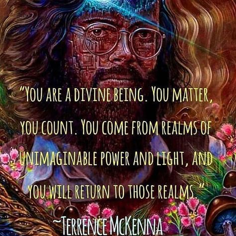 We are divine beings on a journey of realizing we are divine beings of love and light! 😊💕✨ • • • #truth #divinefeminine #divinemasculine… Terrence Mckenna, Trippy Quotes, Being Of Light, Human Consciousness, Timothy Leary, Terence Mckenna, Stoicism Quotes, Personal Growth Motivation, Awakening Quotes