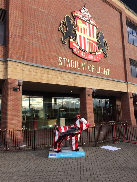 "SAFC Spraydog" Snowdog,Stadium Of Light,Sunderland ⚽️ Stadium Of Light, Stadium Of Light Sunderland, Aston Villa Stadium, Sunderland City, Sunderland Football, Sunderland Afc, Stamford Bridge Stadium, Stadium Lighting, Fa Cup Final