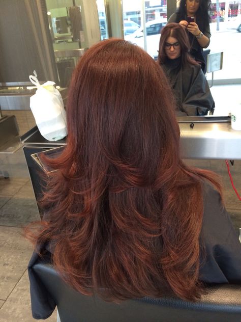 Best fall hair color. Raspberry truffle ! Raspberry Truffle Hair Color, Truffle Raspberry Hair, Brownish Reddish Hair Color, Haircuts For Fall 2023, Cherry Auburn Hair Color, Fall Hair Inspo 2022, Raspberry Brown Hair, Redish Brownish Hair, Brown Cherry Hair Color