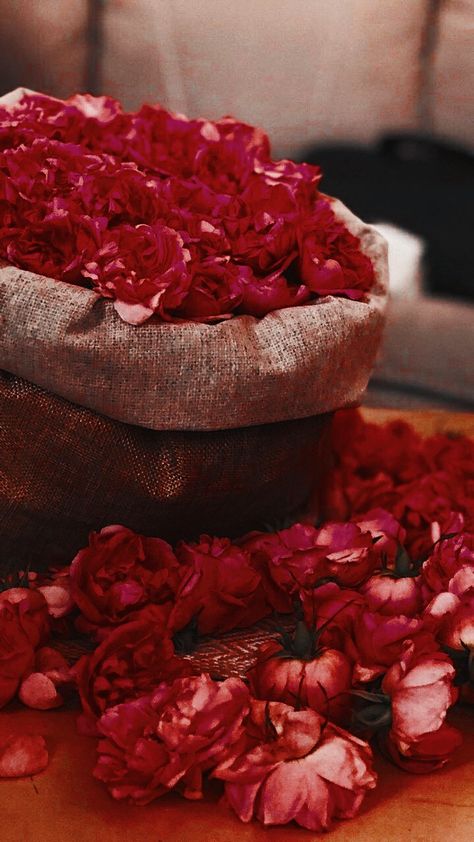 Indian Red Aesthetic, Royal Indian Wedding Aesthetic, Desi Red Aesthetic, Indian Bridal Aesthetic, Red Indian Aesthetic, Red Desi Aesthetic, Royal Indian Aesthetic, Indian Wedding Aesthetic, Royal Indian Wedding