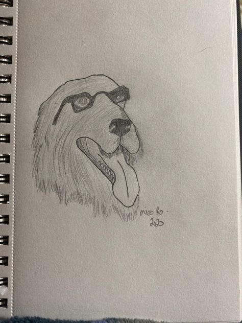 Dog i drew. Longhaired dog drawing with glasses, and tongue out. Not too realistic. Drawing With Glasses, Doggo Drawing, Dog Drawing, Drawings, Dogs