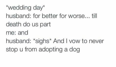 I vow to never stop you from adopting a dog Me As A Wife, Vows To Husband, Funny Wedding Speeches, Marriage Games, Funny Wedding Vows, Wedding Vows To Husband, Funny Wedding Pictures, Wifey Material, Husband Humor