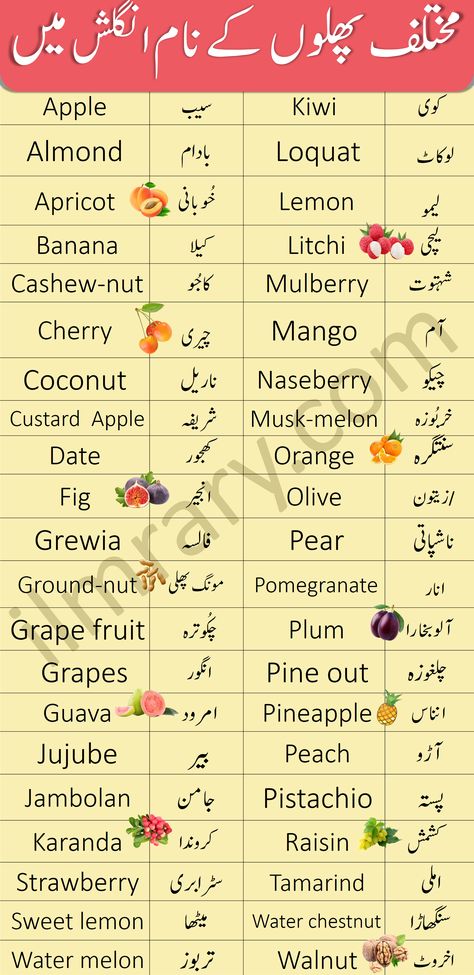 Fruits Name In Urdu, Names Of Things In English, Colours Name For Kids, Dry Fruits Names, Fruits Name, Urdu Vocabulary, Khan Sir, Fruits Name In English, Simple English Sentences