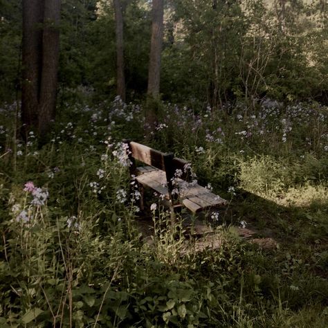 Park Bench Aesthetic, Nature Home Aesthetic, Bench In Forest, Bench Aesthetic, Fairytale Woods, Dark Forest Aesthetic, Forest Core, Forest Aesthetic, Woods Photography