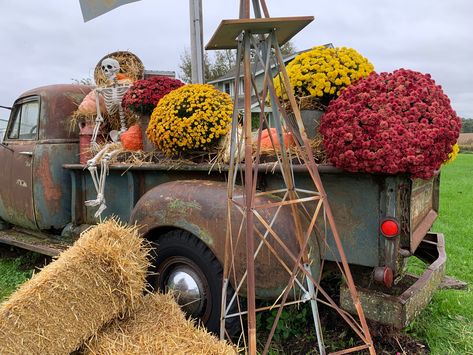 Fall Truck decor in my vintage truck 
The Junk Parlor | Old stuff and cool junk for your home 
thejunkparlor.com Old Trucks Decorated For Fall, Old Truck Decor Ideas, Old Truck Yard Art, Preserving Pumpkins, Diy Seasonal Decor, Mums In Pumpkins, Fall Mums, Lawn Art, Rustic Garden Decor