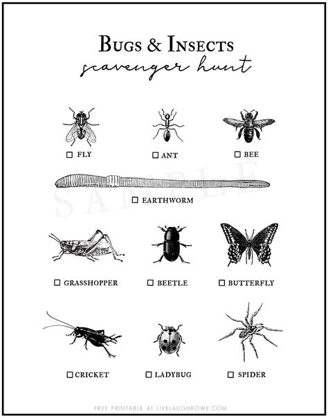 Heading to the park or nature center this summer? This Bug Scavenger Hunt for Kids should keep them busy as they hunt down these bugs and insects. Free printable at livelaughrowe.com #scavengerhunt #printable #kidsactivity Insect Scavenger Hunt, Bug Scavenger Hunt, Bug Hunt, Memory Match Game, Scavenger Hunt For Kids, Homeschool Printables, Outdoor School, Nature Center, Bugs And Insects