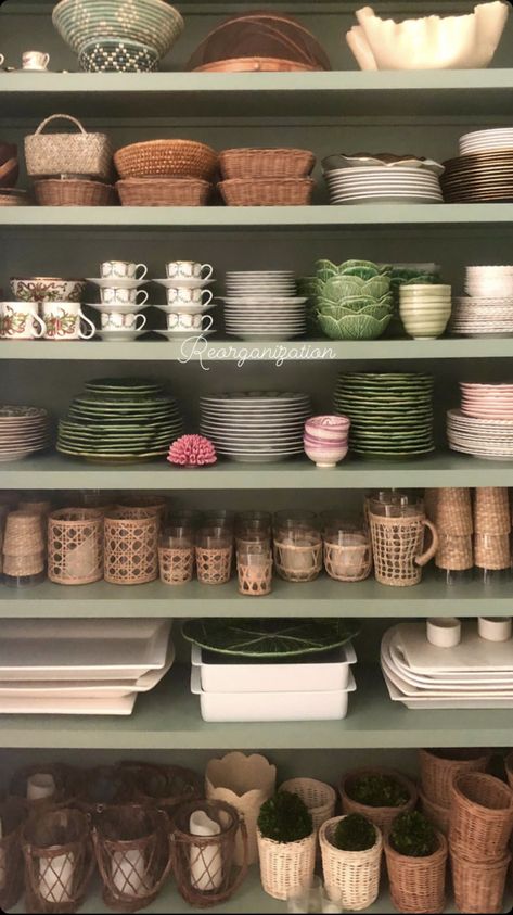 Pantry Plate Storage, Dish Storage Ideas, Plate Pantry, Dish Closet, China Pantry, Party Closet, Crockery Cupboard, Dish Room, Food Storage Rooms