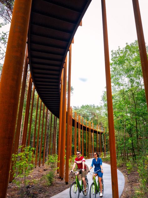 Raised circular cycling path gives 360-degree views of Belgian forest Collage Architecture, Forest Resources, Copenhagen Design, Weathering Steel, Sky Garden, Pedestrian Bridge, Green Roof, Contemporary Landscape, Landscape Architect