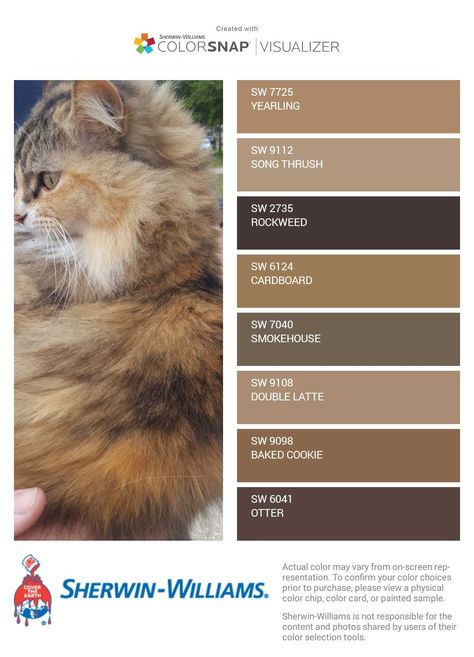 Yearling Sherwin Williams, Caramel Paint Color Sherwin Williams, Caramel Paint Color, Camel Paint Color, Decorous Amber Sherwin Williams, Kilim Beige Sherwin Williams Pallet, Sherwin Williams Cavern Clay Color Palette, Sherwin Williams Kilim Beige Palette, Indoor Paint