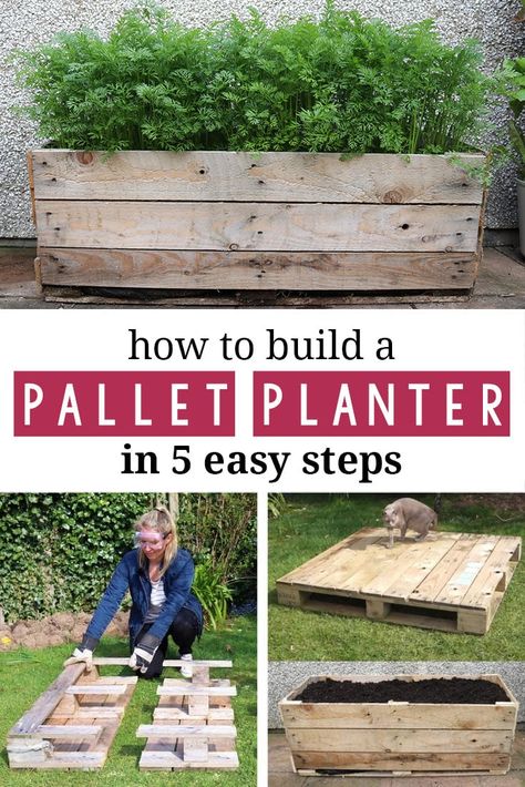 Acnh Yard, Pallet Planter, Diy Raised Garden, Pallet Garden, Pallets Garden, Vegetable Garden Design, Garden Boxes, Pallet Ideas, Garden Bed