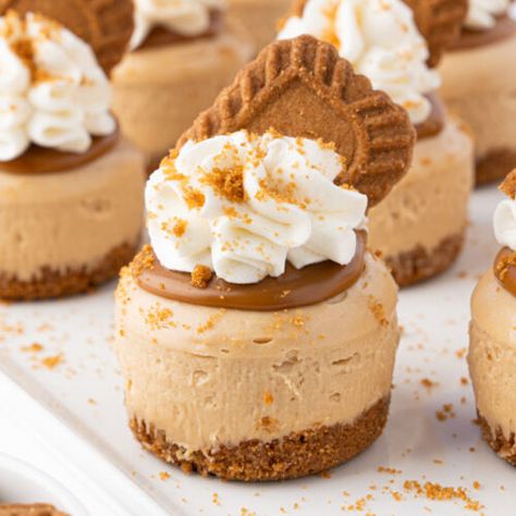 Mini Biscoff Cheesecakes - Cake Me Home Tonight Mini Biscoff Cheesecake, Cake Me Home Tonight, Mini Cheesecake Pan, Cheesecake Cookie, Pumpkin Spice Cheesecake, Chocolate Peanut Butter Cheesecake, Biscoff Cheesecake, Key Lime Cheesecake, Mini Cheesecake Recipes