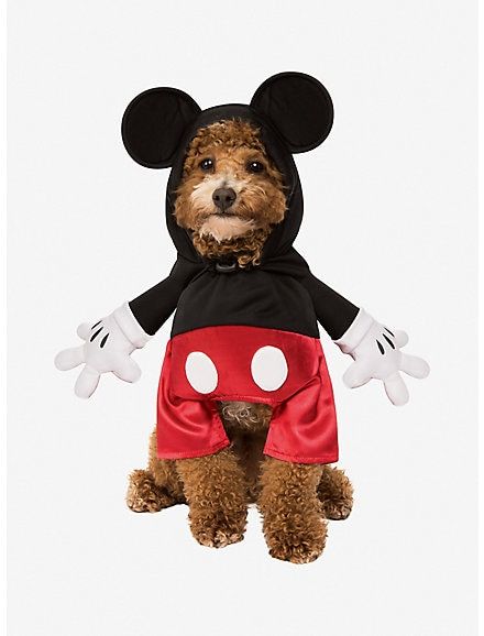 Disney Mickey Mouse Dog Costume, MULTI Disney Dog Costume, Mouse Pet, Walker Dog, Halloween Mickey Mouse, Company Halloween, Mickey Mouse Costume, Mouse Costume, Disney Dogs, Cat Costume