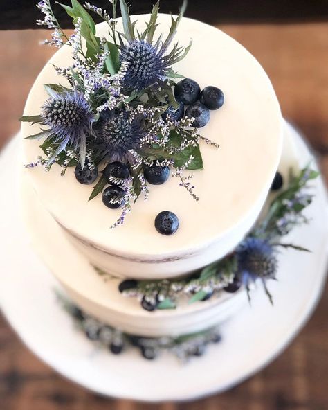 Wedding Cake Blueberries, Blue Thistle Wedding Cake, Huckleberry Wedding Cake, Wedding Cake With Blueberries, Blueberry Themed Wedding, Scottish Wedding Cake Ideas, Midnight Blue Wedding Cake, Different Wedding Cake Ideas, M&s Wedding Cake