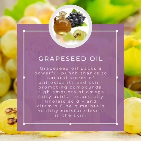 Moisturizing Oils For Skin, Grape Seed Oil Benefits, Hoodoo Herbs, Grapeseed Oil Benefits, Oil Benefits For Skin, Hygiene Hacks, Grape Seed Oil, Skin Facts, Oil Cleansing