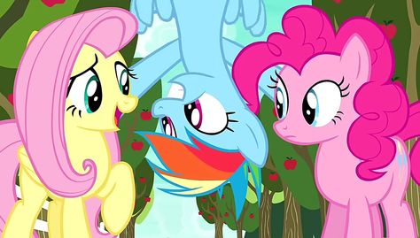 Mlp Room, Mlp Screencaps, Fluttershy Rainbow Dash, Mlp Icons, Pony Wallpaper, My Little Pony Wallpaper, My Little Pony Comic, What To Draw, Hasbro Transformers