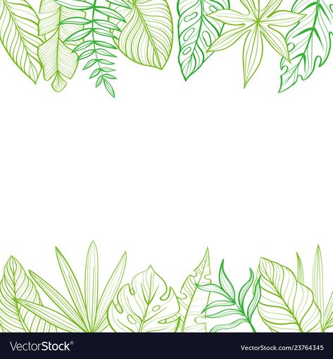 Tropical Leaves Drawing Simple, Plant Border Drawing, Leaf Border Drawing, Tropical Illustration Graphics, Leaves Border Design, Tropical Leaves Drawing, Leaf Drawing Easy, Three Canvas Painting, Guru Poornima