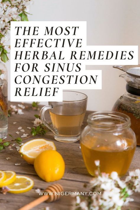 Discover the top herbal remedies for relieving sinus congestion, including essential oils and plants to combat nasal mucus and sinus problems. Remedies For Sinus Congestion, Relieve Sinus Congestion, Remedy For Sinus Congestion, Congestion Remedies, Sinus Remedies, Home Remedies For Sinus, Sinus Congestion Relief, Home Remedy For Headache, Natural Remedies For Migraines