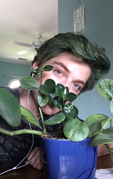 Nolan Holloway, Green Hair Men, Froy Gutierrez, Aesthetic Boy, Character Inspo, Indoor Garden Ideas, Timothee Chalamet, Green Hair, Green Aesthetic