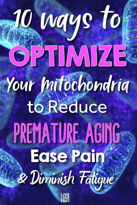 Mitochondrial Dysfunction, High Antioxidant Foods, Mitochondrial Health, Direct Method, Anti Oxidant Foods, Healing Practices, Alternative Health, Health Articles, Alzheimers