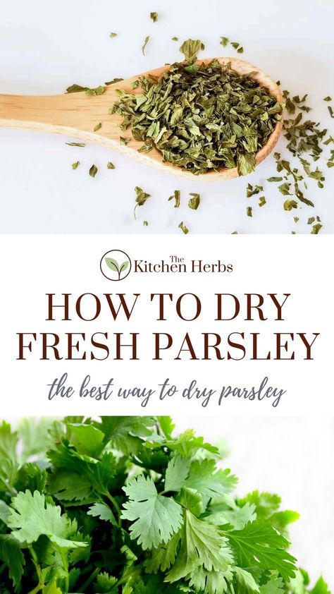 Parsley Preserving, Dried Parsley Recipes, Dry Herbs Diy, How To Store Parsley, What To Do With Fresh Parsley, How To Dry Out Herbs, Uses For Parsley, How To Dry Fresh Herbs, Fresh Parsley Storage