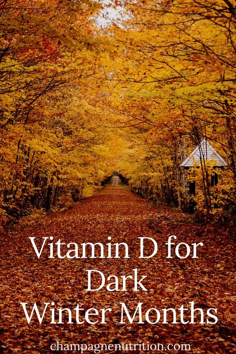 How to Get Vitamin D in the Winter | foods that can help meet your needs How To Get Vitamin D Naturally, Winter Vitamins, Vitamin D Foods, Autumn Recipes Vegetarian, Winter Foods, Cozy Fall Recipes, Office Health, Best Healthy Diet, Healthy Life Hacks