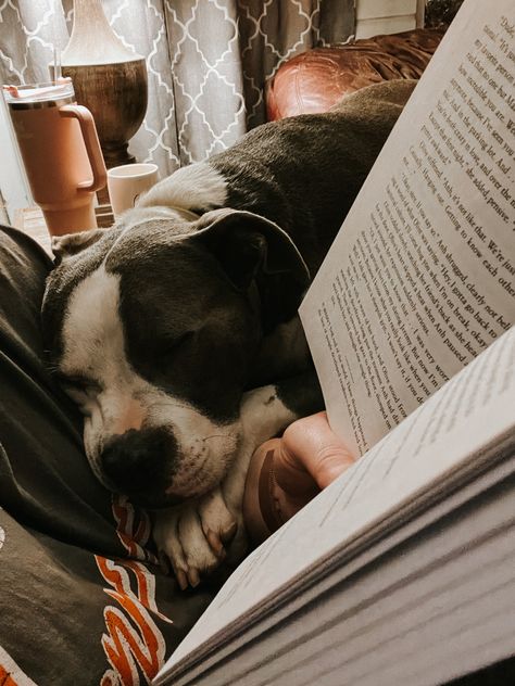 Dogs | Animals | Books | Book Club | Reading Reading With Dog Aesthetic, Dogs And Books Aesthetic, Grace Core, Dogs And Books, 2024 Manifestations, Notion Inspo, Dog Lounge, Book Club Reads, Dog Couch