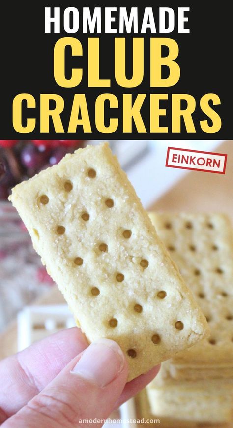 Homemade Club crackers, or butter crackers, are a simple staple recipe that can easily be added to your pantry! These homemade crackers are made with einkorn flour, but any all-purpose wheat flour can be used! Homemade Club Crackers, Homemade Butter Crackers, Raspberry Lemonade Cocktail, Homemade Crackers Recipe, Winter Club, Einkorn Recipes, Club Crackers, Butter Crackers, Einkorn Flour