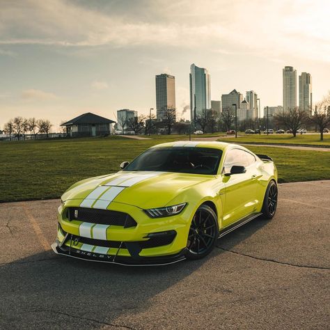 Ford Shelby Mustang, Mustang Gt 350, 1973 Mustang, Gt 350, Ford Mustang Shelby Gt, Mustang Wallpaper, Mustang Gt500, Shelby Mustang, Ford Mustang Car