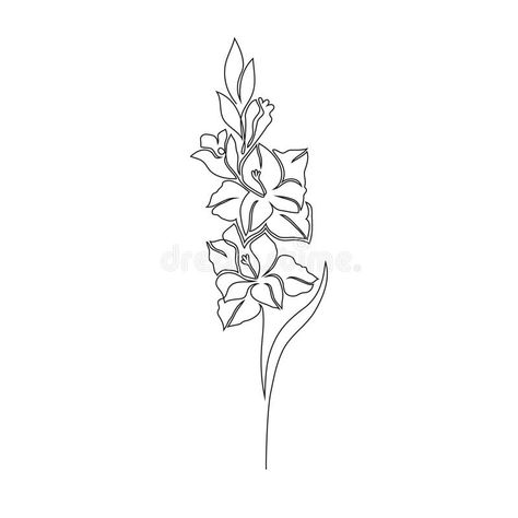 Gladiolus flower on white stock vector. Illustration of draw - 176422710 One Line Gladiolus Tattoo, Gladiolus Flower Line Drawing, Gladiolus Flower Line Art, Gladiolus Flower Embroidery, Gladiolus Flower Outline, Gladiolus Line Art, Gladiolus Line Drawing, Gladiolus Tattoo Simple, Gladiolus Drawing