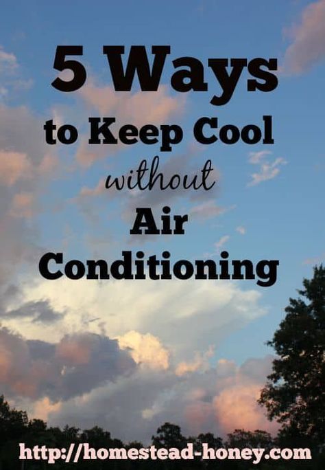 Whether you are living off-grid and can't power an AC, or don't want to pay high electric bills, try these 5 ways to stay cool without air conditioning. Off Grid Cooling, How To Stay Cool Without Ac, Ways To Stay Cool In The Heat, Off Grid Homestead, Homesteading Skills, Urban Homesteading, Living Off The Land, Homestead Survival, Off Grid Living