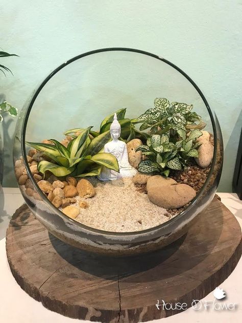 Zen Garden Terrarium, Terrarios Suculentas Ideas, Miniature Garden Plants, Miniature Zen Garden, Diy Succulent Terrarium, Mini Zen Garden, Beautiful Terrariums, Buddha Garden, Zen Garden Design