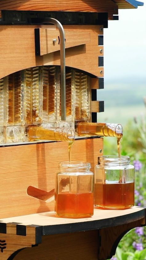 Instagram Harvesting Honey, Flow Hive, Stars Nursery Decor, Honey Bee Hives, Bee Boxes, Bee Farm, Hydro Electric, Star Nursery, January 23