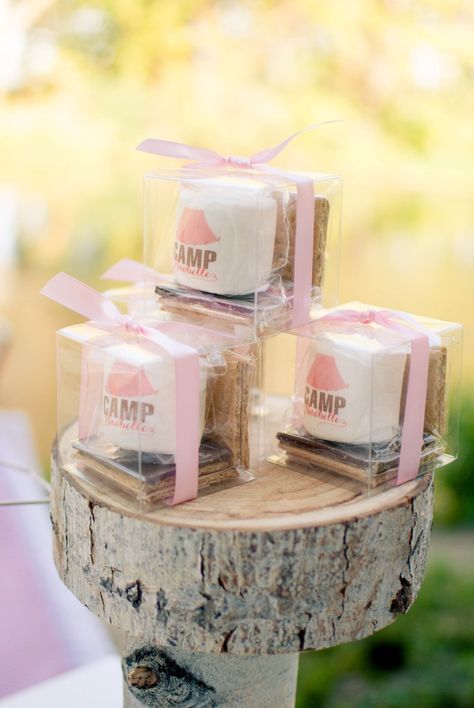 Fall Camping Party Ideas Smore Kit, Glamping Birthday Party, Camping Theme Birthday, Glamping Birthday, Pink Tent, Glamping Party, Camping Theme Party, Girls Birthday Party Themes, Camping Birthday Party