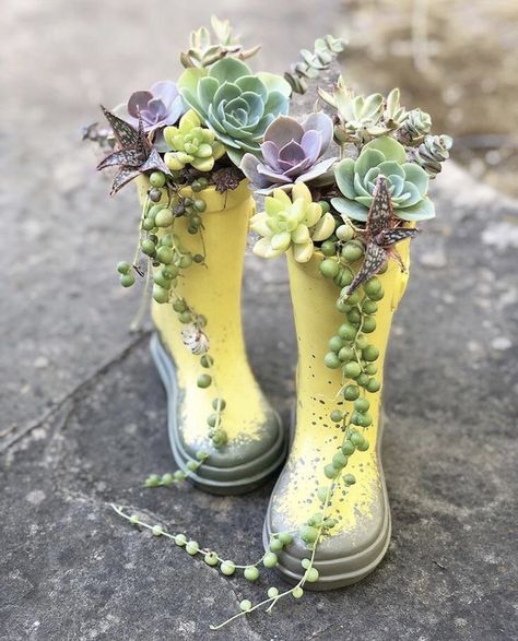 Rain Boot Planter Ideas, Design A Garden, Gardening Design Diy, Small Garden Ideas, Succulent Garden Design, Succulent Garden Diy, Garden Whimsy, Succulent Gardening, Garden Design Ideas