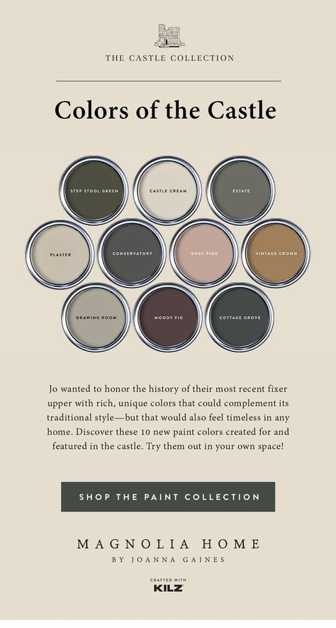 Whole House Moody Paint Scheme, Dark Cottage Paint Colors, Dark Cabinets Color Scheme, French Modern Color Palette, Moody Cottage Color Palette, Moody Home Paint Palette, Antique Colors Palette, Dark Academia Master Room, Moody Vintage Color Palette