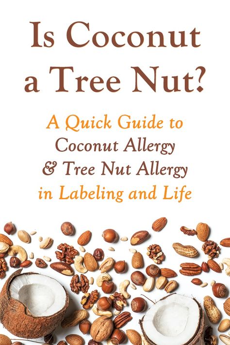 Is Coconut a Tree Nut? Can People with Tree Nut Allergies Eat Non-Dairy Coconut Products? I've got the scientific answers, lifestyle issues, allergy concerns, and more. Milk Allergy Symptoms, Cooking With Dates, Coconut Food, Coconut Allergy, Corn Allergy, Coconut Products, Tree Nut Allergy, Nut Allergy, Food Allergies Awareness