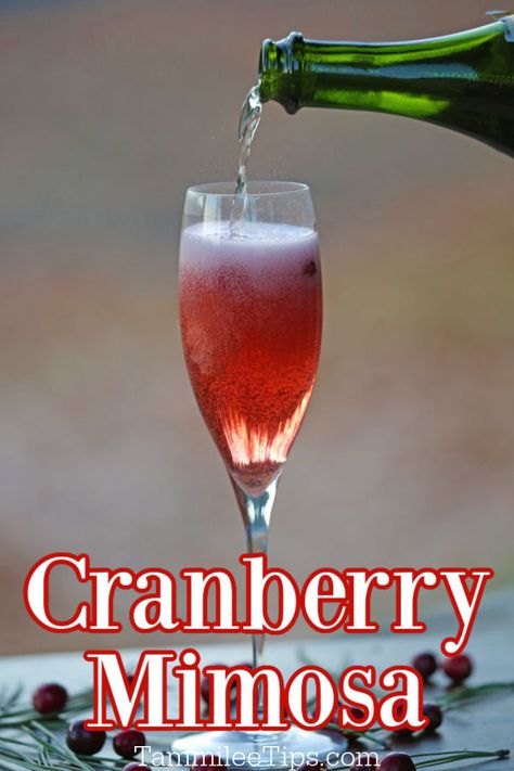 Easy Cranberry Mimosa Recipe is the perfect holiday cocktail! So easy to make with a couple of ingredients and can be customized. Make this Thanksgiving Cocktail into a Christmas Mimosa and enjoy the amazing flavor! Christmas Breakfast Drinks, Mimosa Recipe Easy, Cranberry Mimosa Recipe, Christmas Brunch Drinks, Pure Cranberry Juice, Book Club Food, Cranberry Mimosa, Christmas Drinks Alcohol Recipes, Thanksgiving Cocktail