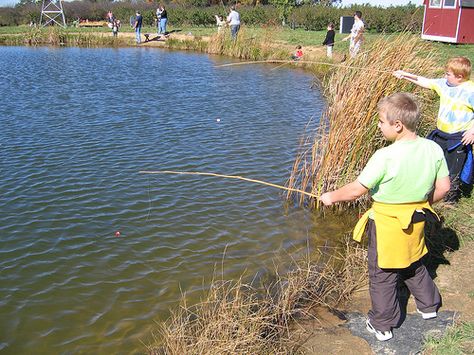 Make It From Scratch: Family Fishing Fun + How to Make a Cane Pole ~ Lots of fun for the kids with their own fishing poles, plus they can use it for crawdadding, too! All you need to bring from home is a spool of fishing line and a box of hooks. Oh, and the band aids. Best Fishing Lures, Family Fishing, Fishing Basics, Fishing Poles, Trout Fishing Tips, Fall Fishing, Salt Water Fishing, Fishing Techniques, Lake Fishing