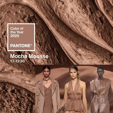 What do you think of Mocha Mousse, Pantones® color of the year for 2025? 🍫 Mocha Mousse is described as "a warming, brown hue imbued with richness. It nurtures us with its suggestion of the delectable qualities of chocolate and coffee, answering our desire for comfort." . #pantonecoloroftheyear #mochamousse #colorandstyle #becomeastylist Mocha Mouse Color, Mocha Mousse Pantone, Chocolate And Coffee, Mocha Mousse, White Runway, Mouse Color, Color Of The Year, Pantone Color, Mocha