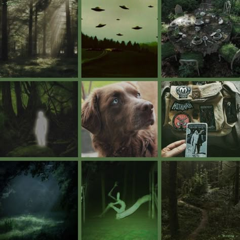 Dog F2u Base, Green Dog Aesthetic, Moxxie Aesthetic, Snake Moodboard, Alien Moodboard, Animal Moodboard, Forest Moodboard, Dog Moodboard, Moodboard Adopts