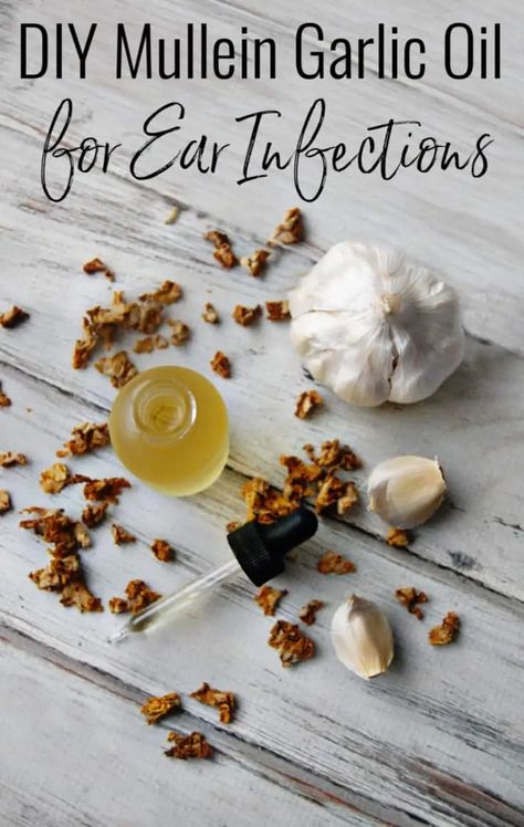 This DIY Mullein Garlic oil for Ear Infections is just what you need if you are looking for a natural remedy for an earache! Mullein is amazing at easing discomfort during ear infections and garlic helps fight the infection that caused the earache in the first place! No mullein? That's ok, just garlic oil works too! #earinfection #earache #mullein #garlic #garlicoil #homeremedy #herbalremedies #natural #safe #DIY Garlic Oil For Ears, Skincare Homemade, Cooking With Turmeric, Ear Infections, Natural Healing Remedies, Garlic Oil, Diy Remedies, Cold Home Remedies, Holistic Remedies