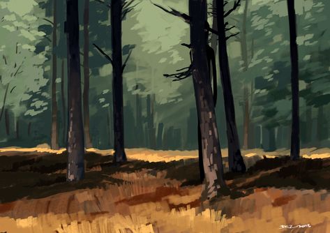 The Wood. Landscape Digital Illustration, Forest Animation Background, Woods Drawing Forests, Forest Art Wallpaper, Forest Digital Painting, Forest Reference, Woods Drawing, Digital Forest, Forest Drawing